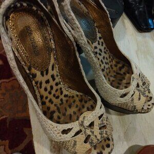 Roberto Cavali Pumps